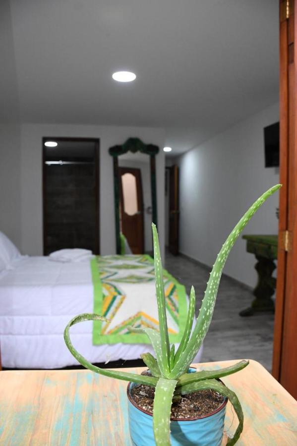 Paisa Territory Jardin Hotel Kültér fotó